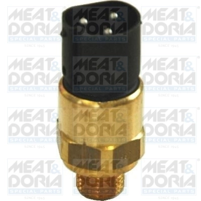 Temperature Switch, radiator fan